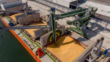 Understanding Grain Stability on Ships
